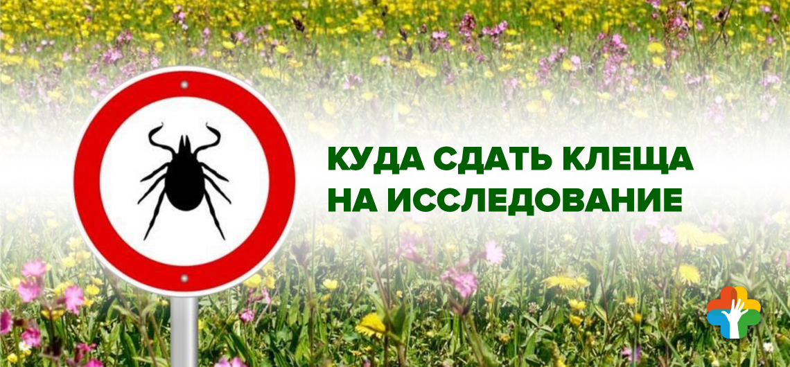 Как и когда работают пункты по приему клещей?