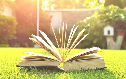 Читаем летом. Требования к издательской продукции для детей