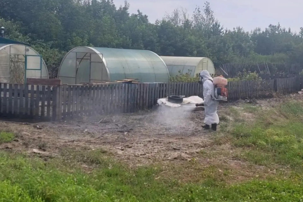 31.07.2026 2.jpg 31.07.2026 2.jpg